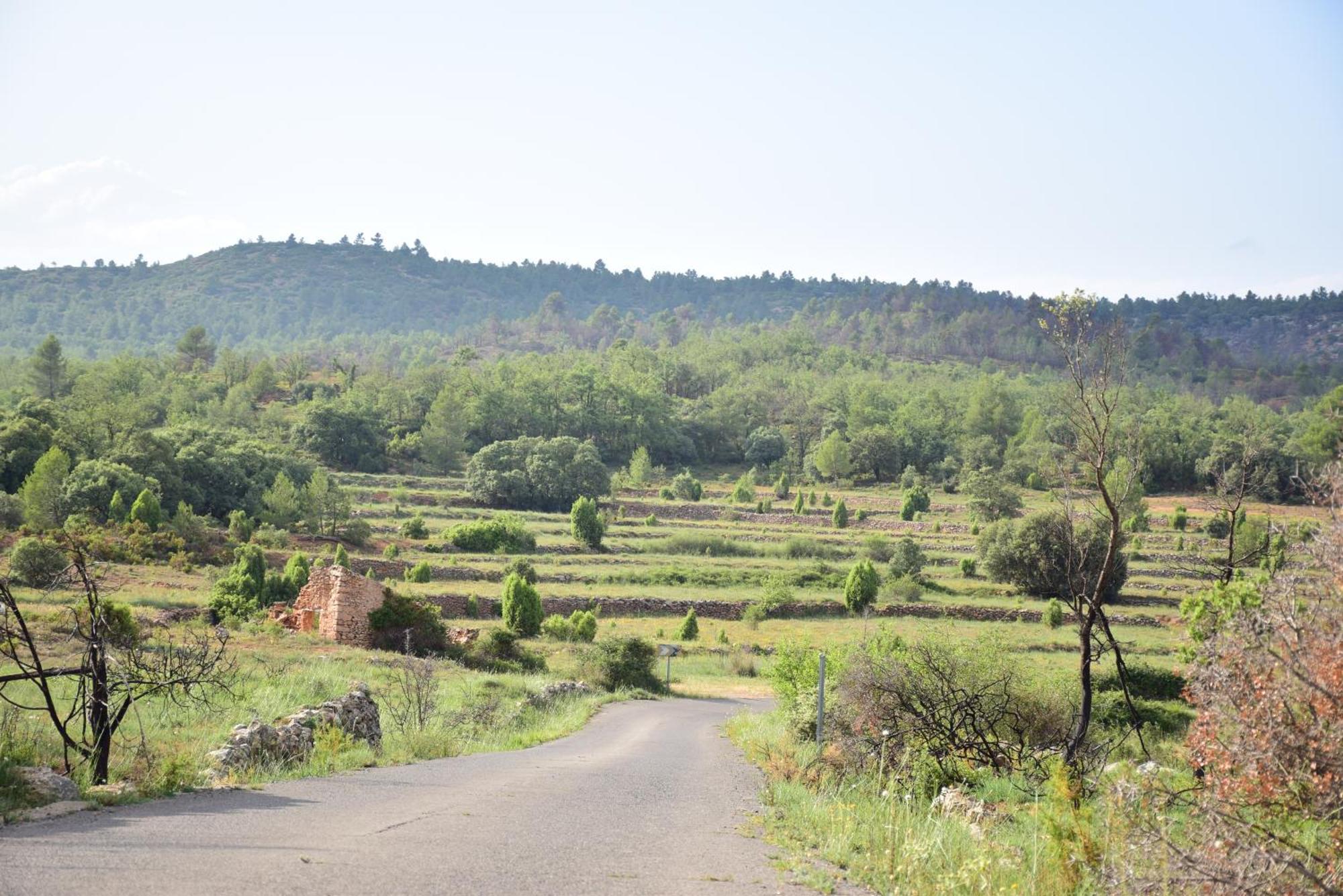 Oasis Rural Villa Los Pastores Екстериор снимка